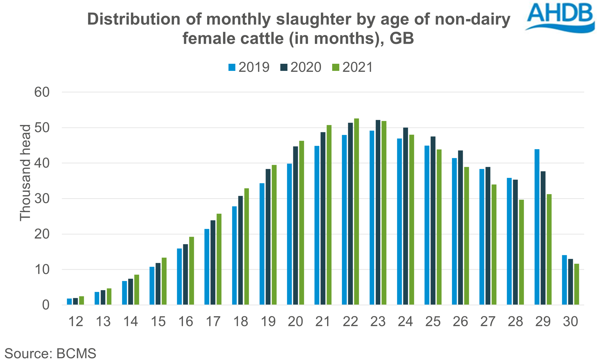 chart showing distribution of monthly cattle slaughter by age in months GB - non dairy females